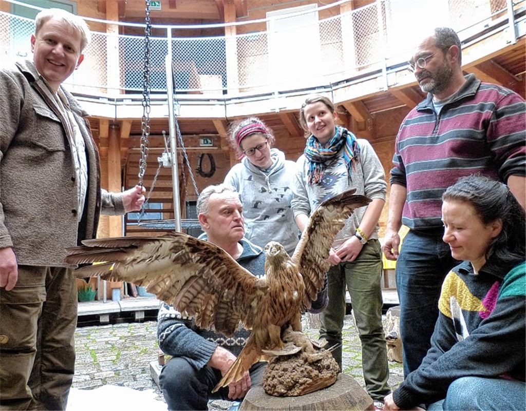 Anschauungsmodell: Der ausgestopfte Rot-Milan braucht nicht mehr aufgepäppelt zu werden, höchstens abgestaubt. Doch so kann man ihn ohne Angst vor Schnabel und Krallen aus der Nähe anschauen und sich von den Fachmännern des Vereins Araneus den richtigen Umgang mit den Tieren erläutern lassen (v.li.): Frank Friedmann, Herbert Keil, Josefin Spallek, Marie Spallek, Thomas Köberle und Christine Schuster.