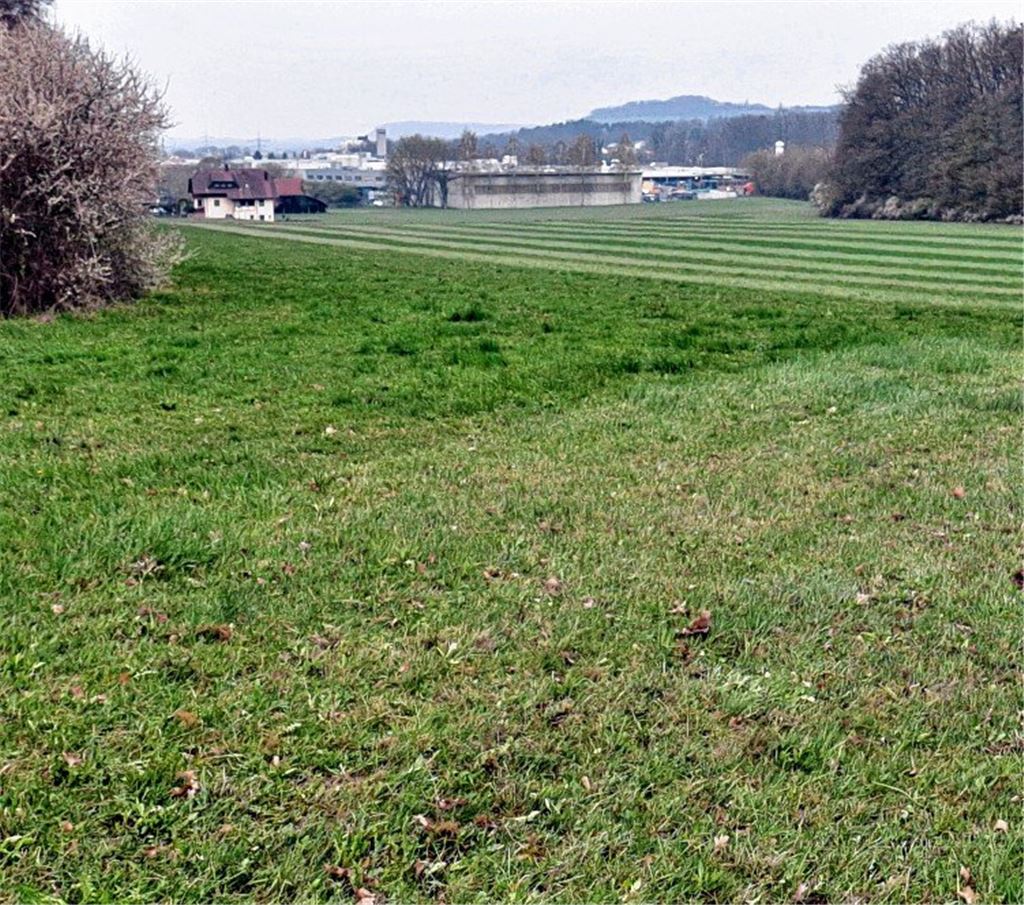Kein Gewerbegebiet für zehn Jahre?