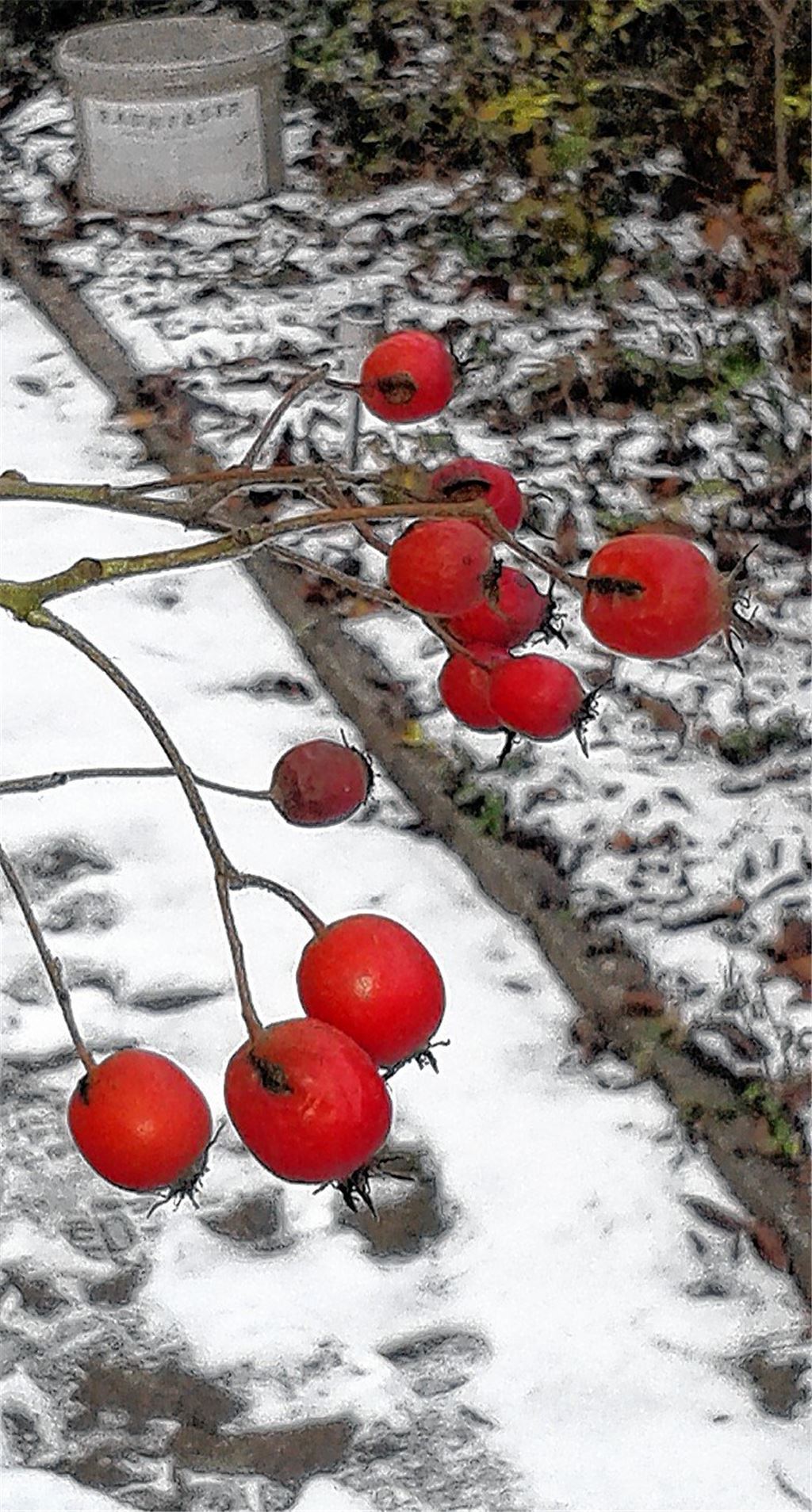 Herbstfarben