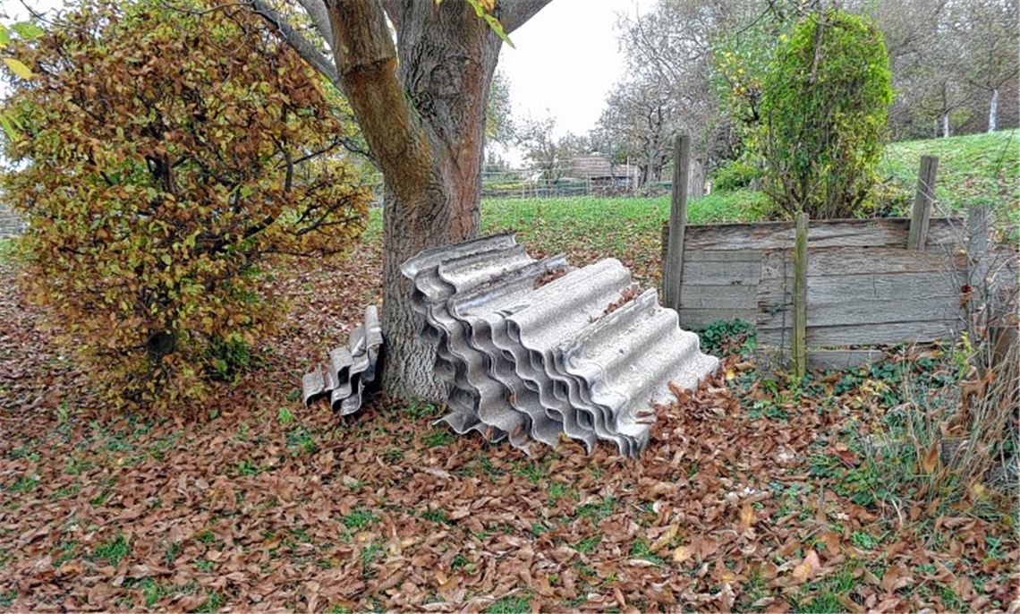 Asbestplatten wild entsorgt