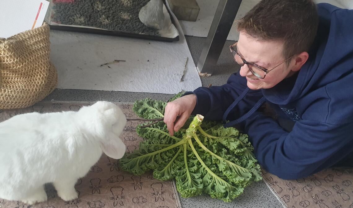 Astrid Niederl nimmt sich für das Kaninchen-Widder Mr. Snow, dem ein Innenohr entfernt werden musste, und andere Tiere mit besonderen Bedürfnissen viel Zeit. Foto: Schröder