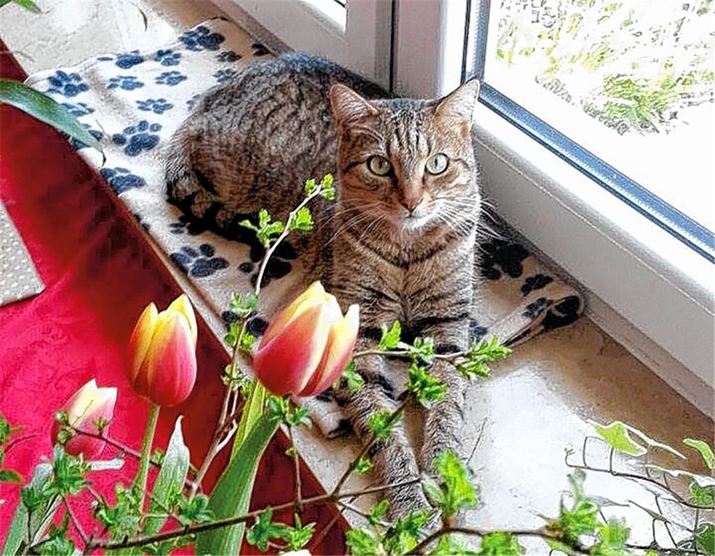 Frühlingsgefühle