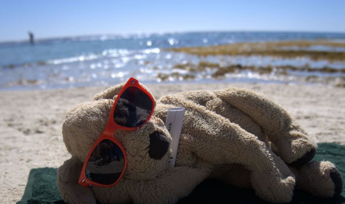 Auch am Strand durfte sich Jack schon sonnen.