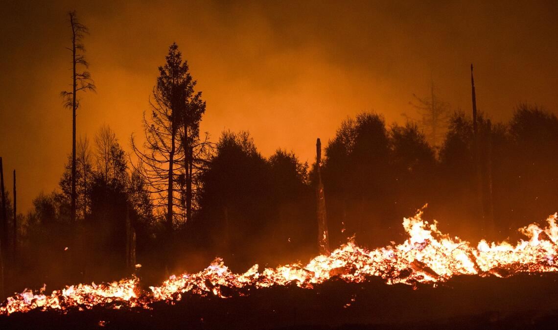 Auch in Europa – wie hier in Thüringen – kommt es immer häufiger zu Waldbränden.