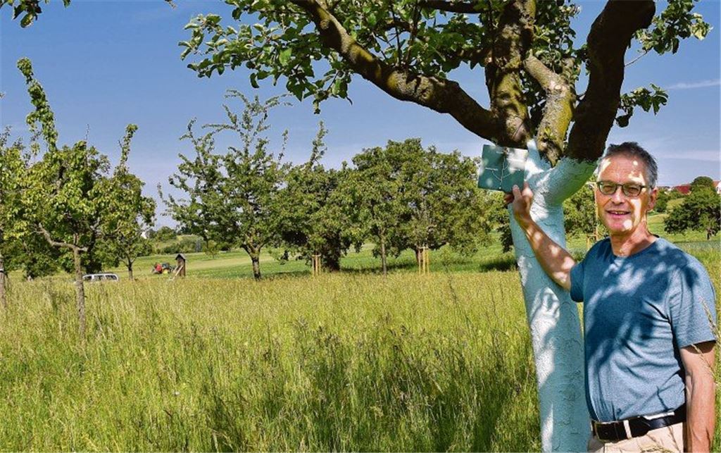 Wo die seltenen Äpfel wachsen