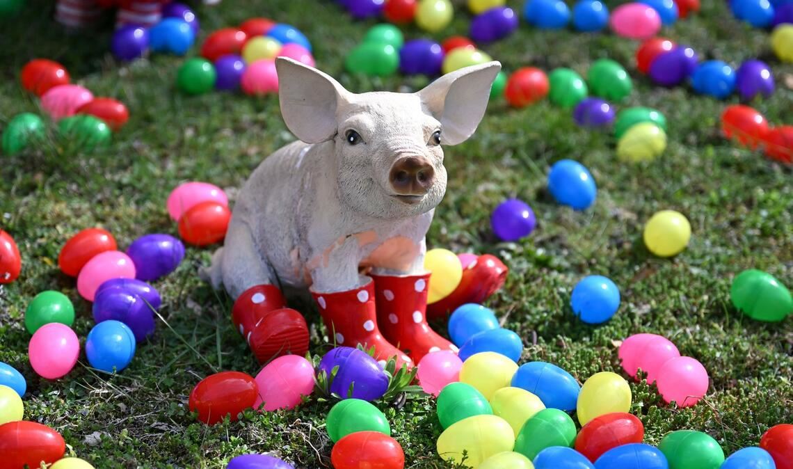 Auch zahlreiche Tiere wie etwa dieses Schwein oder auch eine Giraffe und zahlreiche Affen stehen zwischen den bunten Eiern.