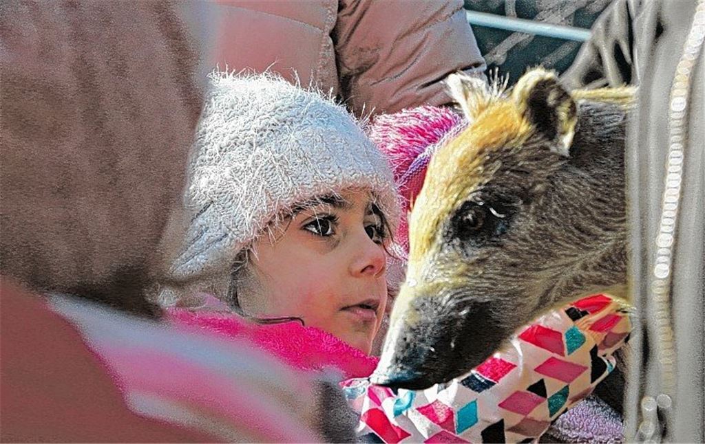 Kinder gehen auf Spurensuche