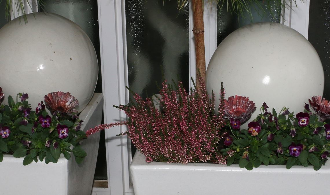 Auf dem Bild nicht zu sehen sind die zwei gestohlenen Dekorationskugeln. Foto: Gezener