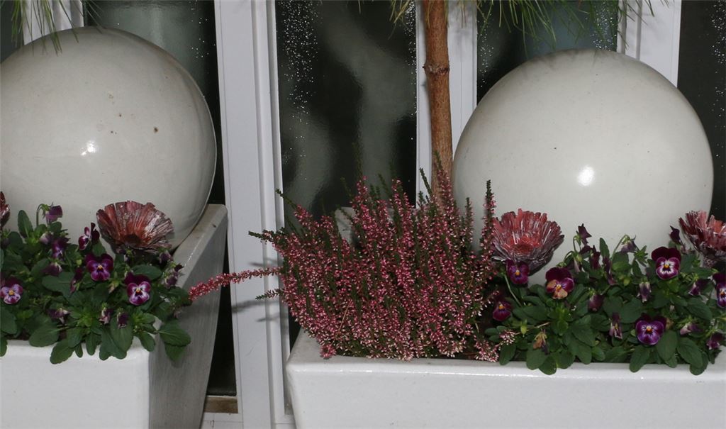 Auf dem Bild nicht zu sehen sind die zwei gestohlenen Dekorationskugeln. Foto: Gezener