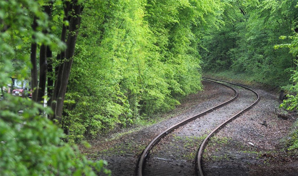 Auf dem Maulbronner Stichgleis sollen Züge im Halbstundentakt verkehren. Foto: Archiv