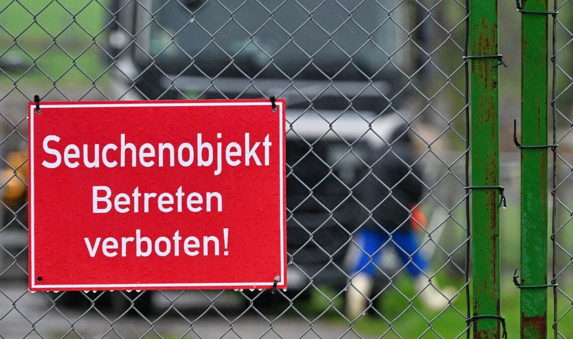 Auf dem Pommernhof in Zarnewanz im Landkreis Rostock ist die Vogelgrippe auch bekannt als Geflügelpest ausgebrochen. Über 13 000 Enten mussten hier getötet werden.
