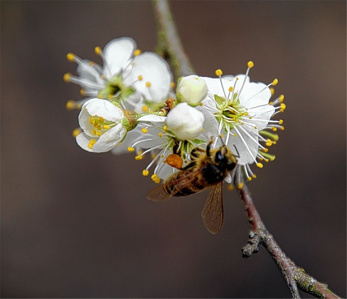 Frühlingsgefühle