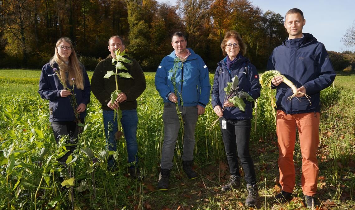 „Grünzeug“ sorgt für sauberes Trinkwasser Auf dem Versuchsfeld bei Stein: Wasserschutzgebietsberaterin Nicole Wenz, Landwirt Jan Hottinger, Joachim Fuchs vom Bauernverband, Landwirtschaftsamtsleiterin Corinna Benkel und Dezernent Holger Nickel (v.li.) zeigen verschiedene Zwischenfrüchte. Fotos: Roller
