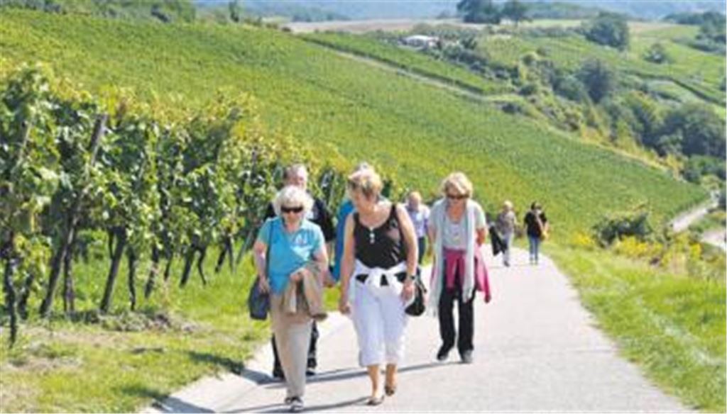 Auf dem Weg rund um Freudenstein und Hohenklingen herrscht reger Betrieb. Foto: Stahlfeld