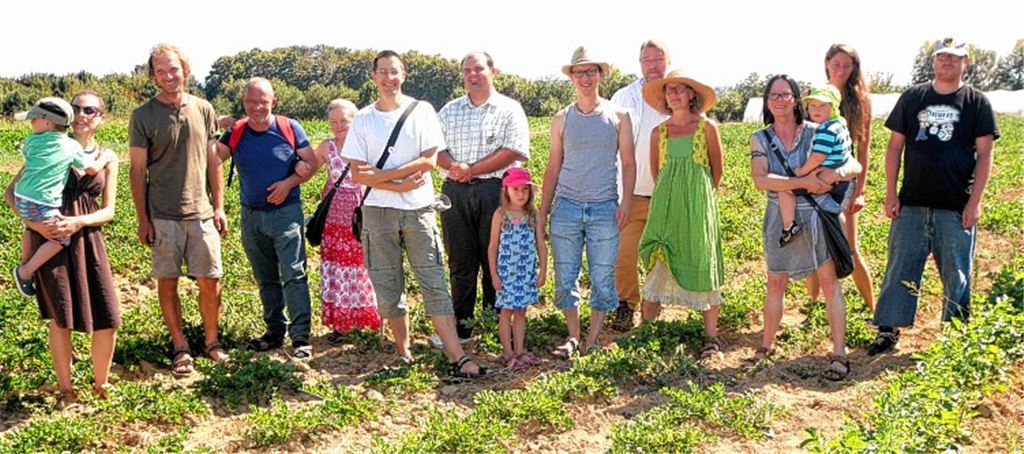 Sich gemeinsam ums Gemüse kümmern