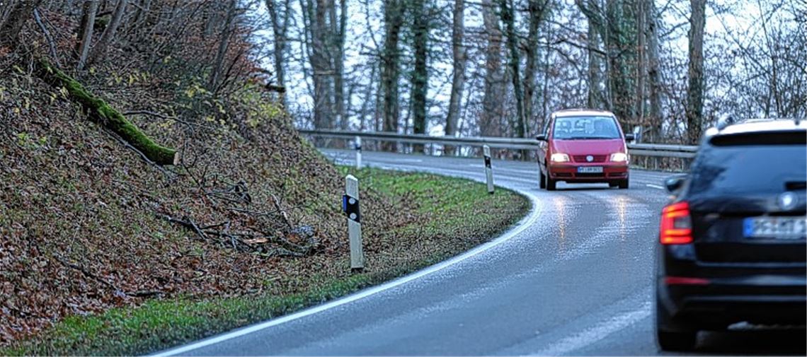 „Bäume werden regelmäßig kontrolliert“