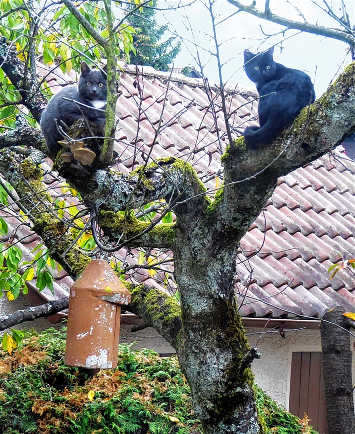 Herbstfarben Herbstfarben