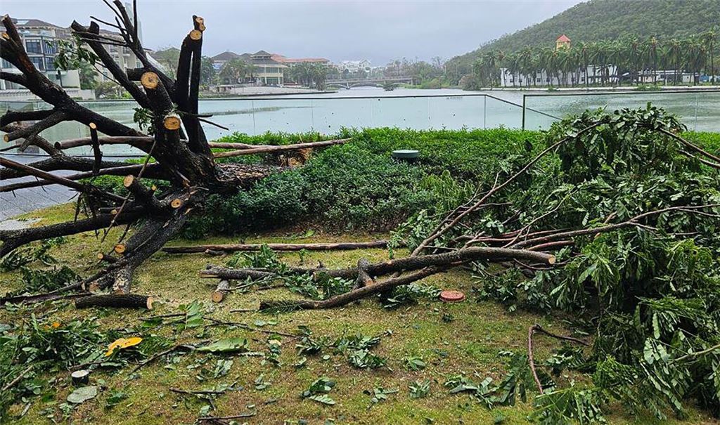Auf der chinesischen Insel Hainan hat "Kajiki" schon gewütet.