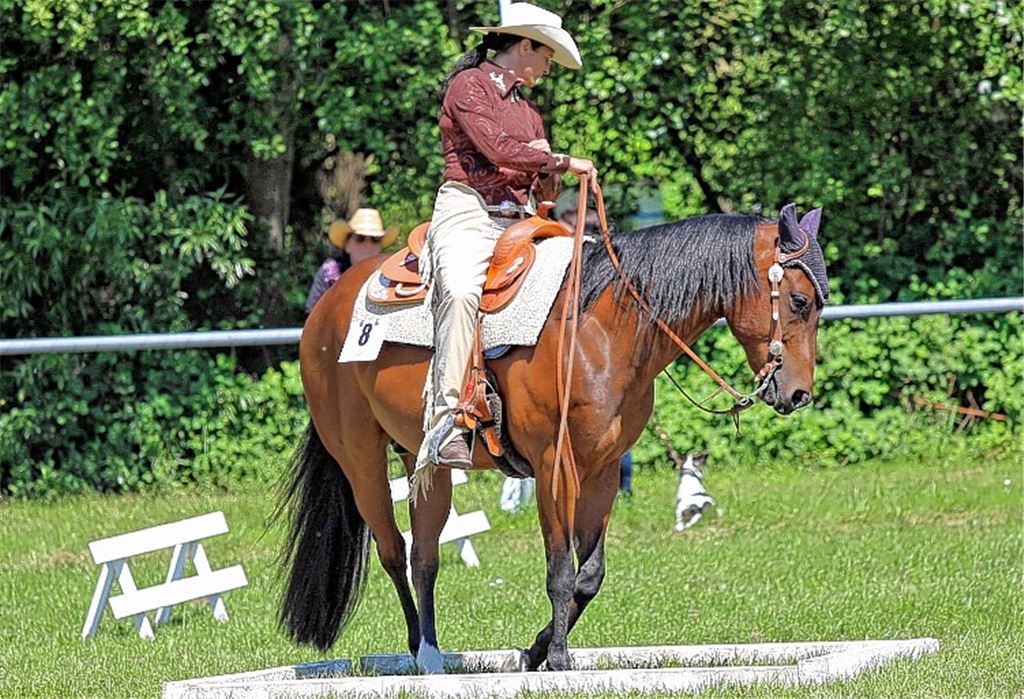 Kabinett der Kunststücke