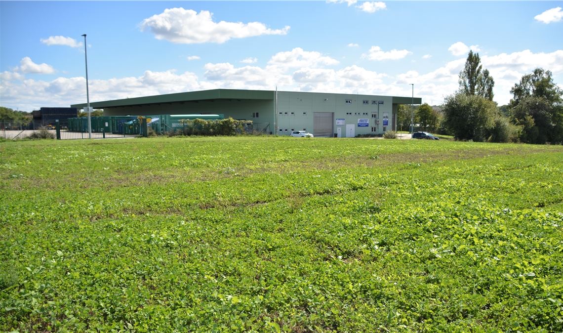 Auf diesem Grundstück im Gewerbegebiet Schweichling in Illingen sollen neue Logistikhallen entstehen. Der Gebäudekomplex im Hintergrund soll abgerissen werden. Foto: Stahlfeld