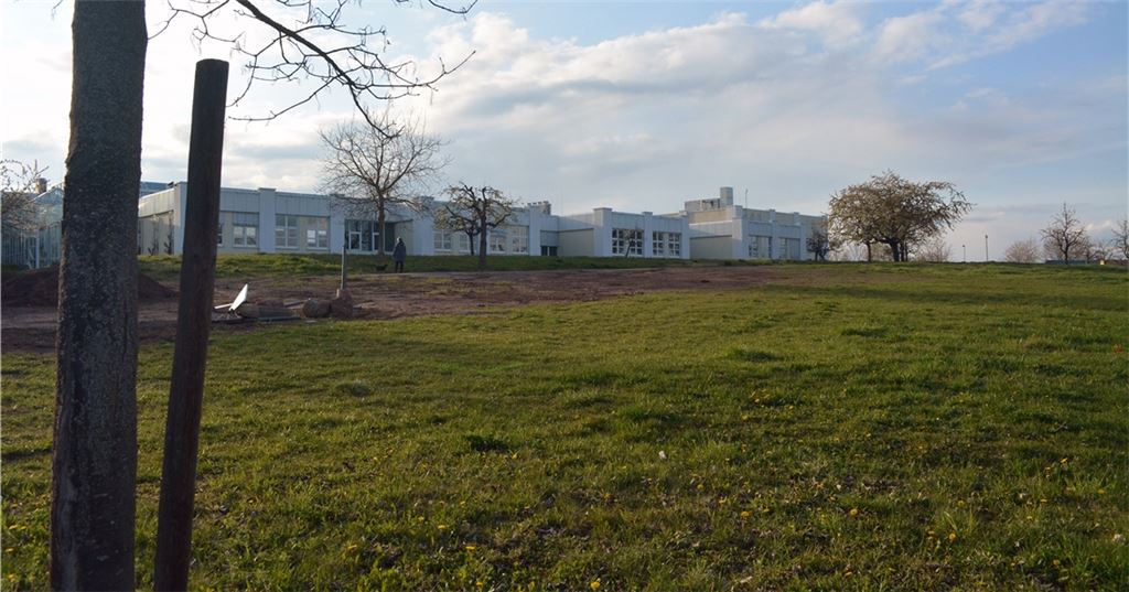 Auf dieser Fläche soll die Firma Süss MicroTec in Sternenfels die Möglichkeit zur Erweiterung bekommen. Foto: Stahlfeld