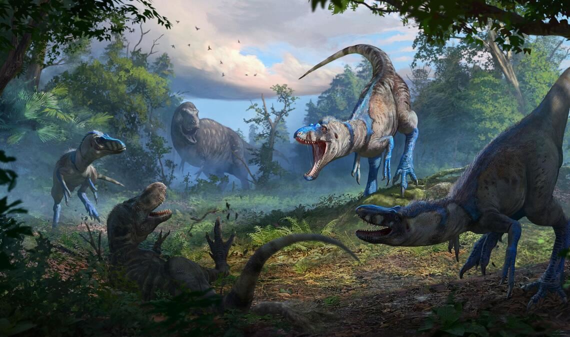 Auf dieser Illustration attackiert ein Rudel des Nanotyrannus einen jungen Tyrannosaurus Rex. Eine gründliche Analyse von Dino-Knochen räumt einer aktuellen Studie zufolge mit einem langjäÃ¤hrigen Irrtum um Tyrannosaurus rex auf.