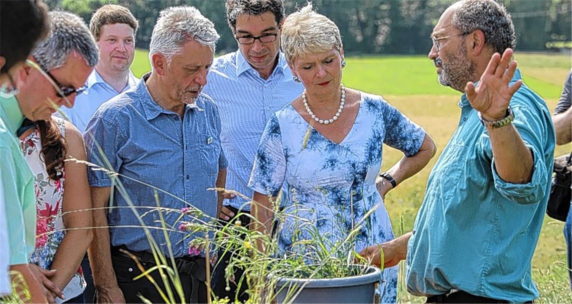 „Nur mit Blühstreifen ist es nicht getan“