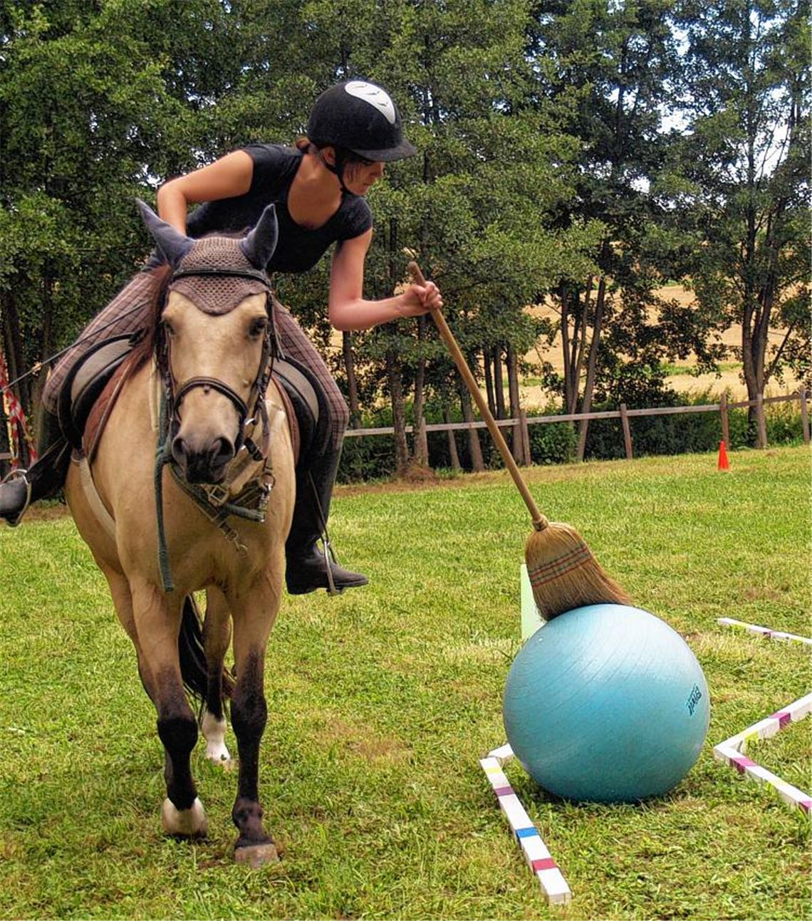 Auf einem Parcours müssen verschiedene Aufgaben gelöst werden.