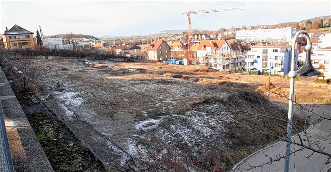 Auf einem Teil des Geländes zwischen dem Weg bei der Villa Emrich (rechts) und der von der Schillerstraße zur Goldshaldenstraße führenden Fußgängerverbindung (hinten links auf dem Bild) könnte die neue Sporthalle entstehen. Manches deutet auf diese Möglichkeit hin, doch die Entscheidung über den Standort wird der Gemeinderat voraussichtlich am 18. Dezember treffen. 