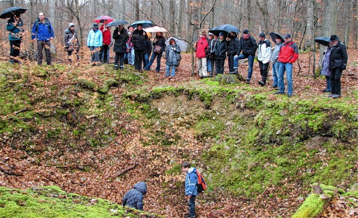 Auf historischer Wanderschaft: Jochen Kluftinger und Claus Lindner (kleines Bild oben, blaue Jacke) erwandern mit rund 30 Teilnehmern beim historischen Rundgang ein Stück Ötisheimer Geschichte und machen auf ihrem Marsch unter anderem Station am Erzgräberloch.
