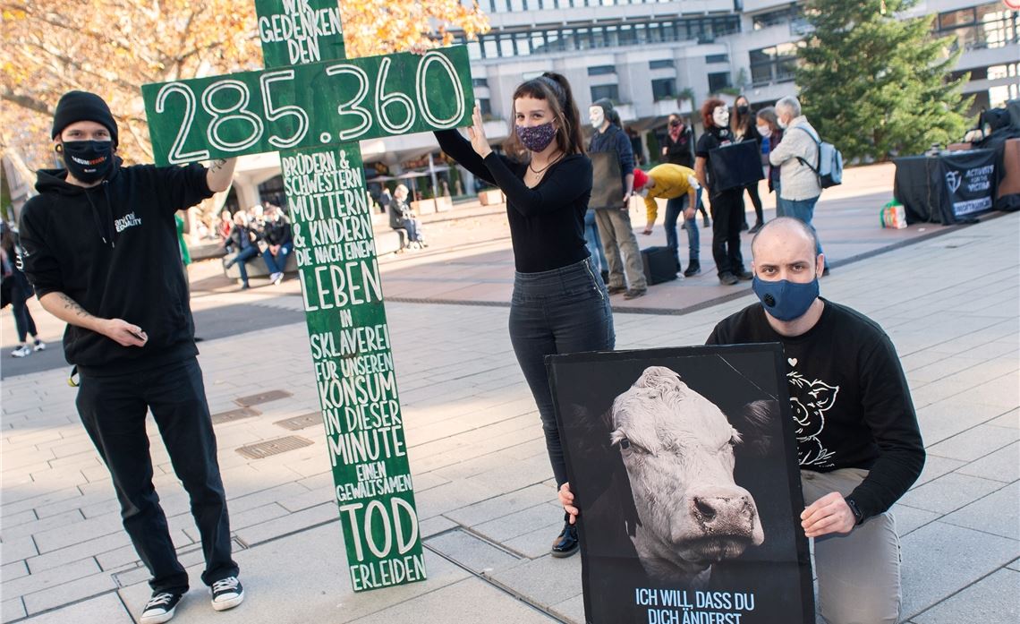 Auf über zwei Millionen Tiere, die täglich in Deutschland für den Fleischkonsum getötet würden, machen Bruce Jung, Melanie Knölker und Felix Strauß (v. li.) aufmerksam. Foto: Fotomoment