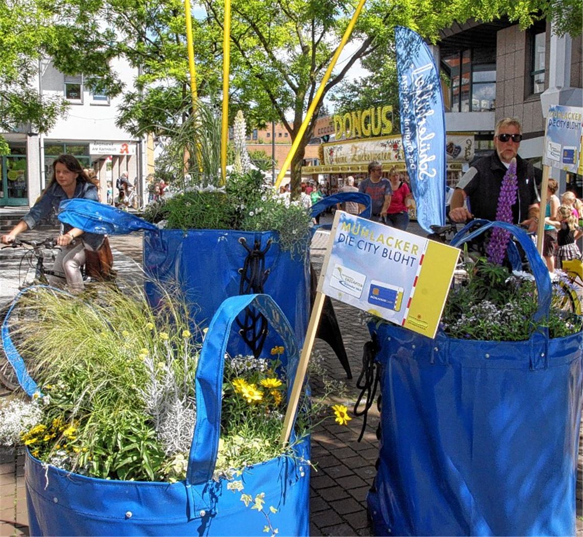 Auffallend: Der neue Blumenschmuck in der Innenstadt.