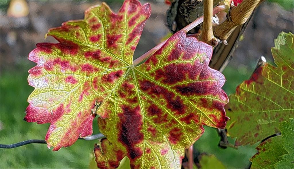 Herbstfarben