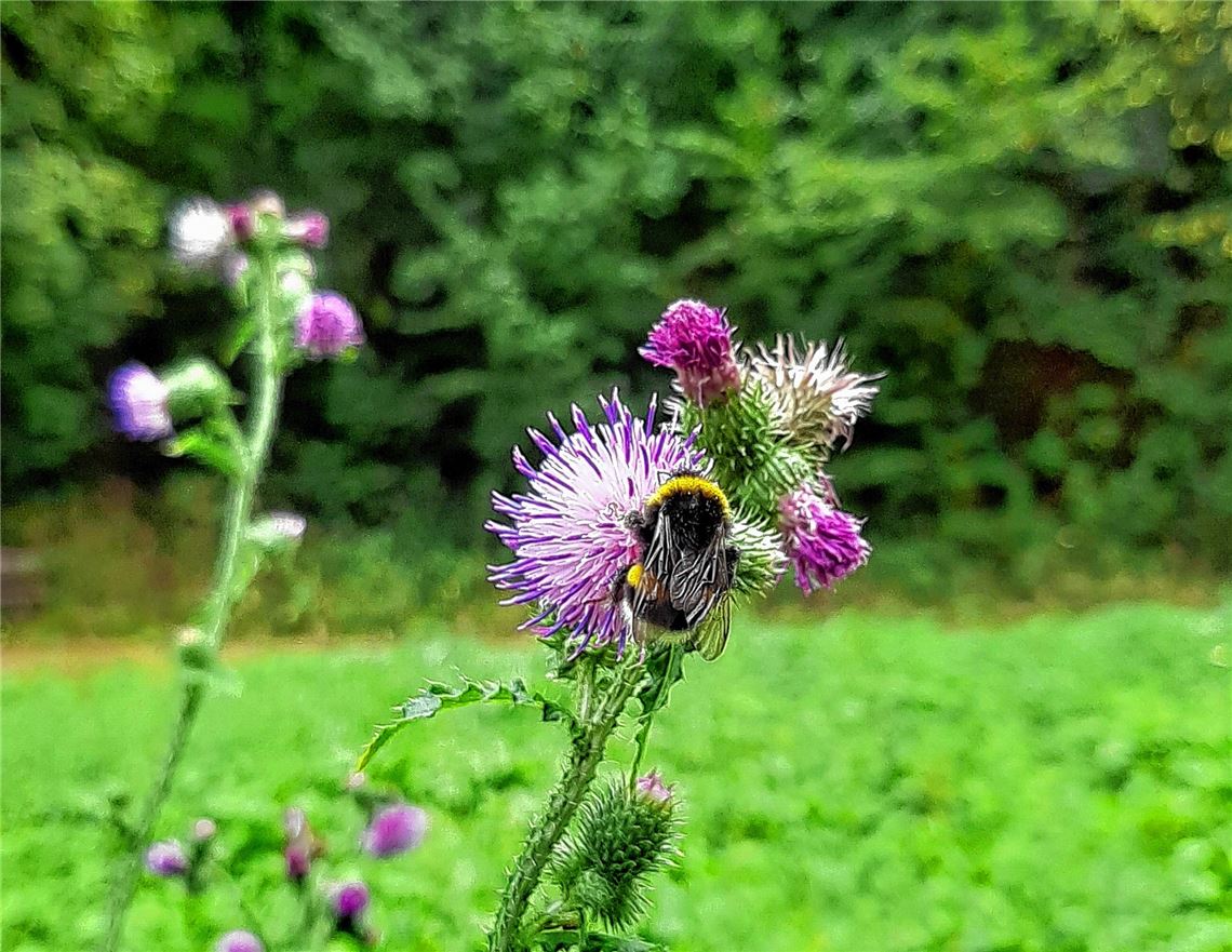 Sommerzeit