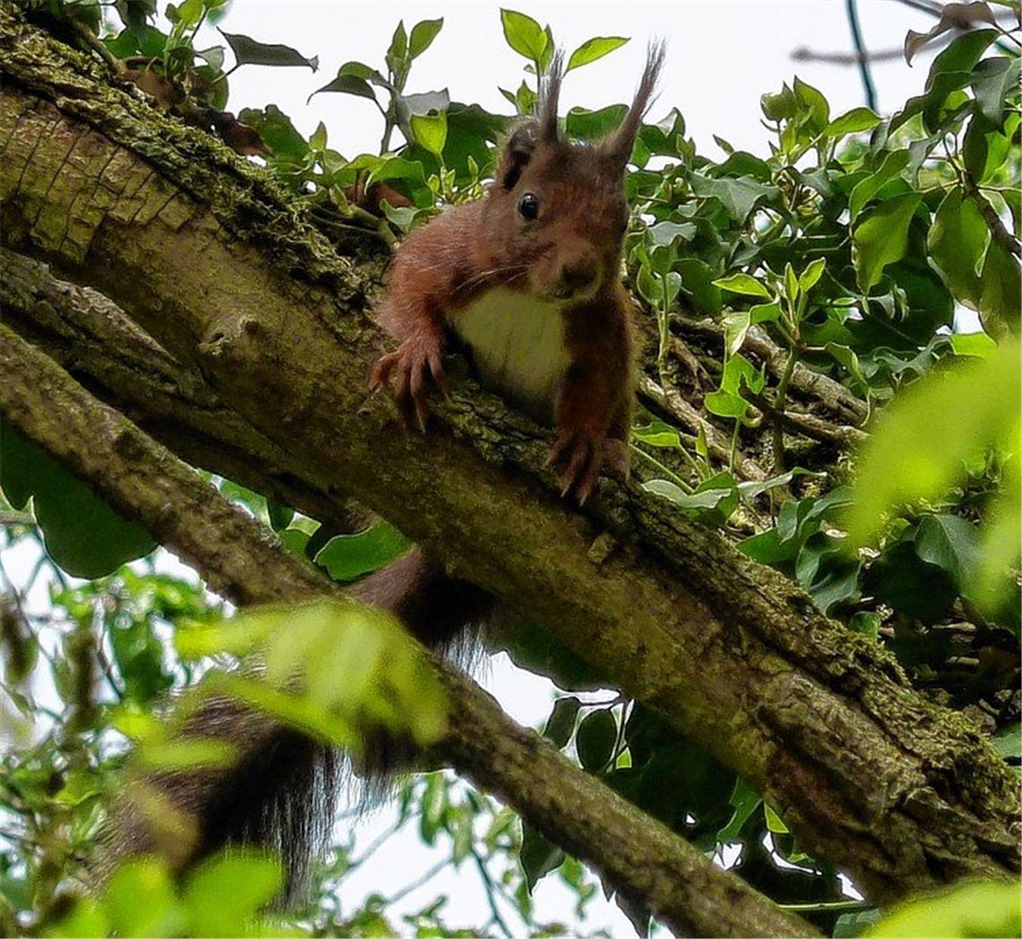 Frühlingsgefühle Frühlingsgefühle