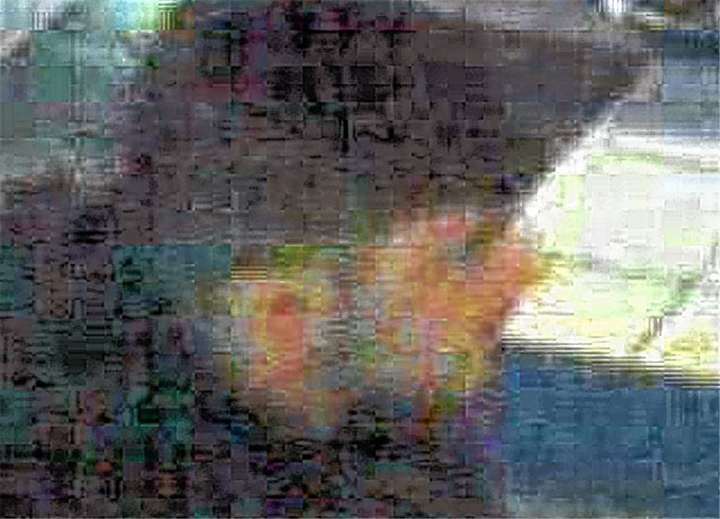 Aufnahme des Gesuchten am Tatort. Foto: pol