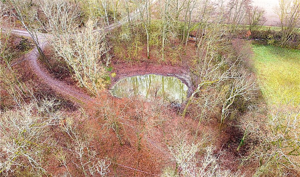 Aus Sicherheitsgründen weiterhin großräumig abgesperrt: der unscheinbare Tümpel in der Nähe des Waldenserpfades zwischen Ölbronn und Maulbronn-West. Foto: Schramm