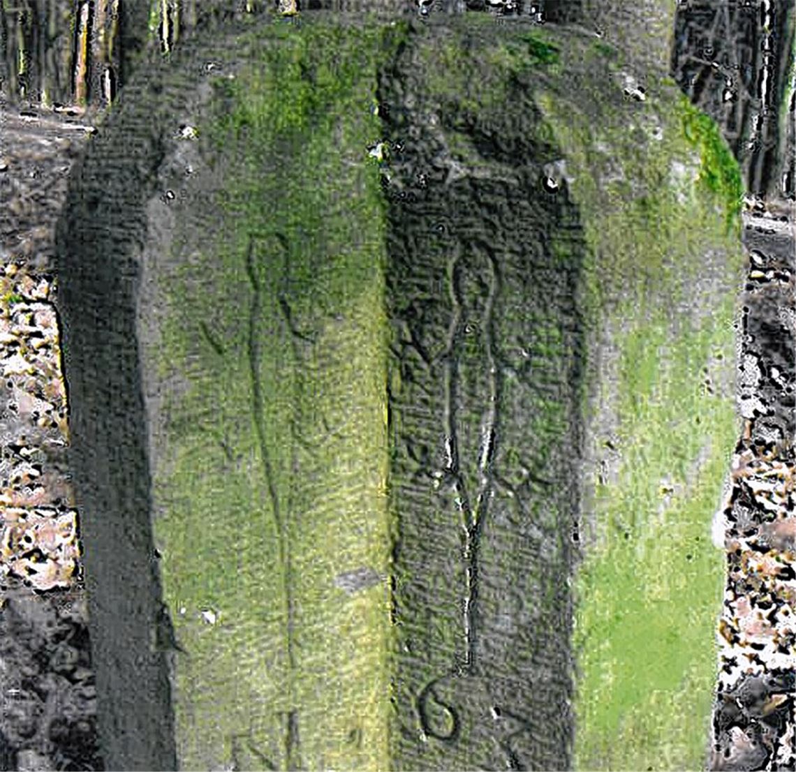 Aus dem Ötisheimer Wald ist dieser Winkelgrenzstein verschwunden.