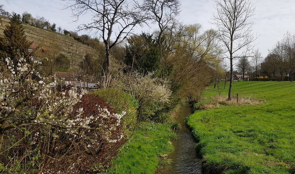 Aus den Klosterseen und der Salzach, die durch den „Tiefen See“ zum Aalkistensee fließt, fischten die Mönche ihr „Flussgemüse“. Fotos: Weimper