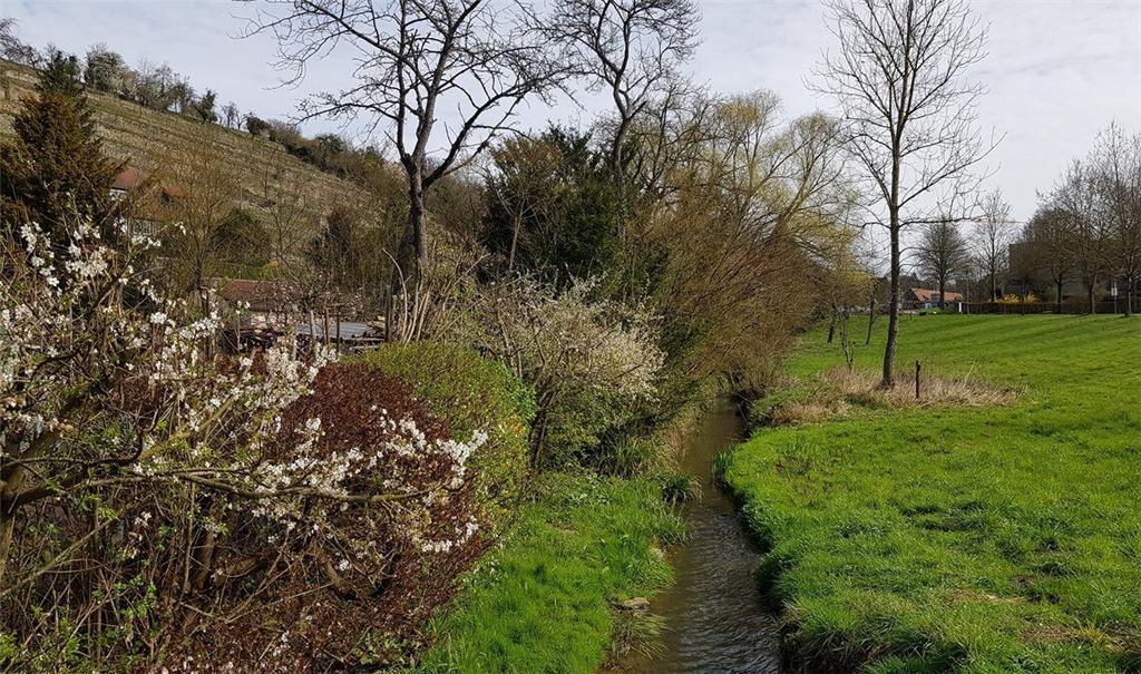 Aus den Klosterseen und der Salzach, die durch den „Tiefen See“ zum Aalkistensee fließt, fischten die Mönche ihr „Flussgemüse“. Fotos: Weimper