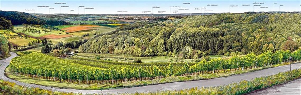Panoramabild lenkt den Blick in die Ferne