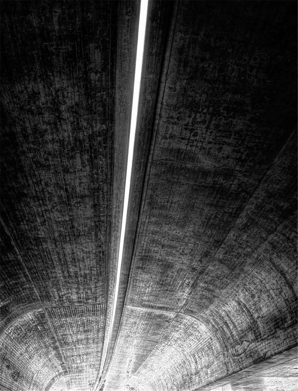 Ausgezeichnete Fotos