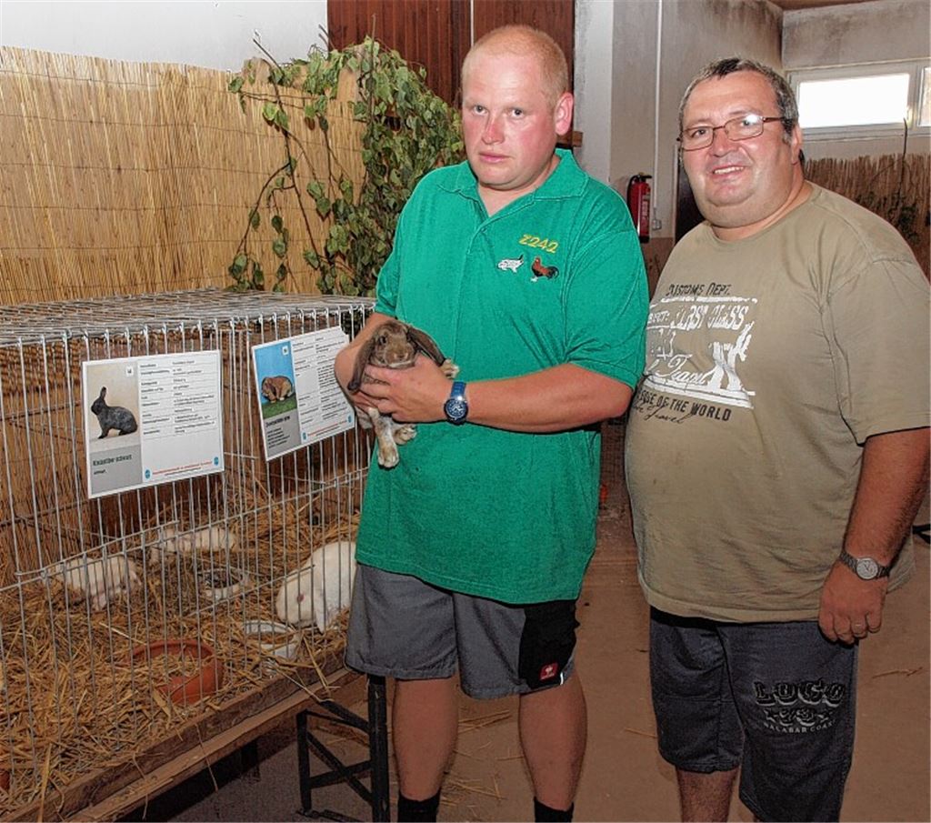 Ausreißer erwischt: Jugendleiter Frank Spath (re.) und Kassierer Michael Hein in der Ausstellung von Jungtieren, die wegen der Hitze unters Dach des Vereinsheims umgezogen ist.