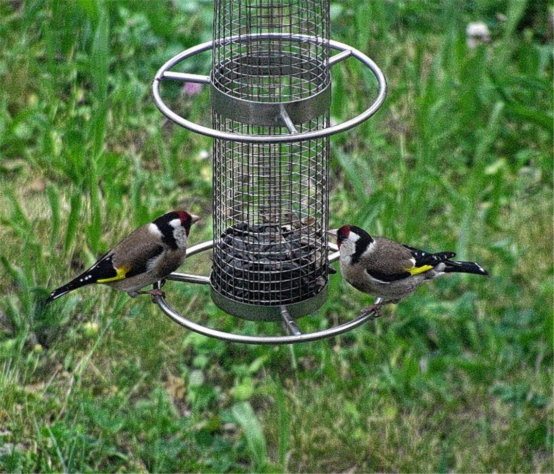 Frühlingsgefühle