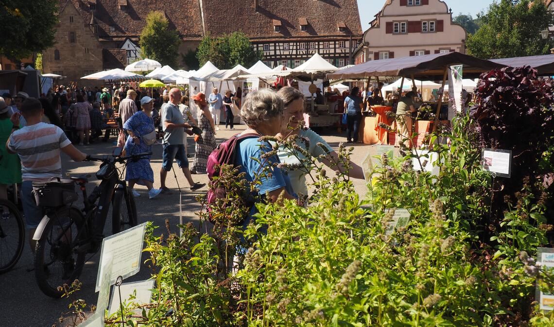 Aussteller sorgen für jede Menge Grün im Klosterhof. Großes Interesse zeigen die Besucher an Gartenkräutern und historischen Heilpflanzen. Foto: Müller