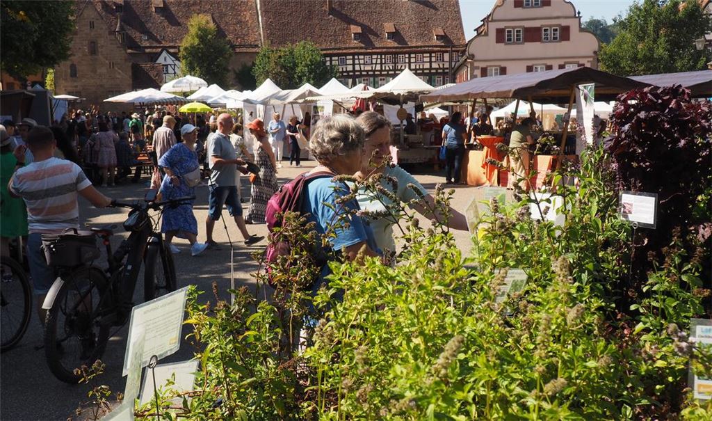 Aussteller sorgen für jede Menge Grün im Klosterhof. Großes Interesse zeigen die Besucher an Gartenkräutern und historischen Heilpflanzen. Foto: Müller