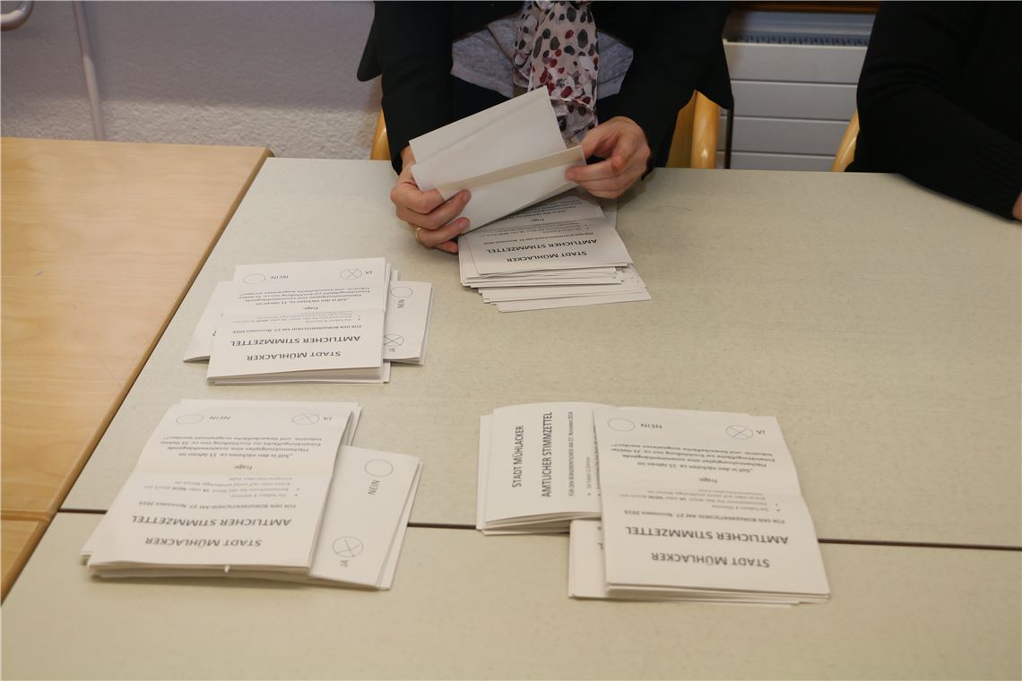 910_0008_131941_ts_Buergerentscheid_Briefwahlausschuss_S