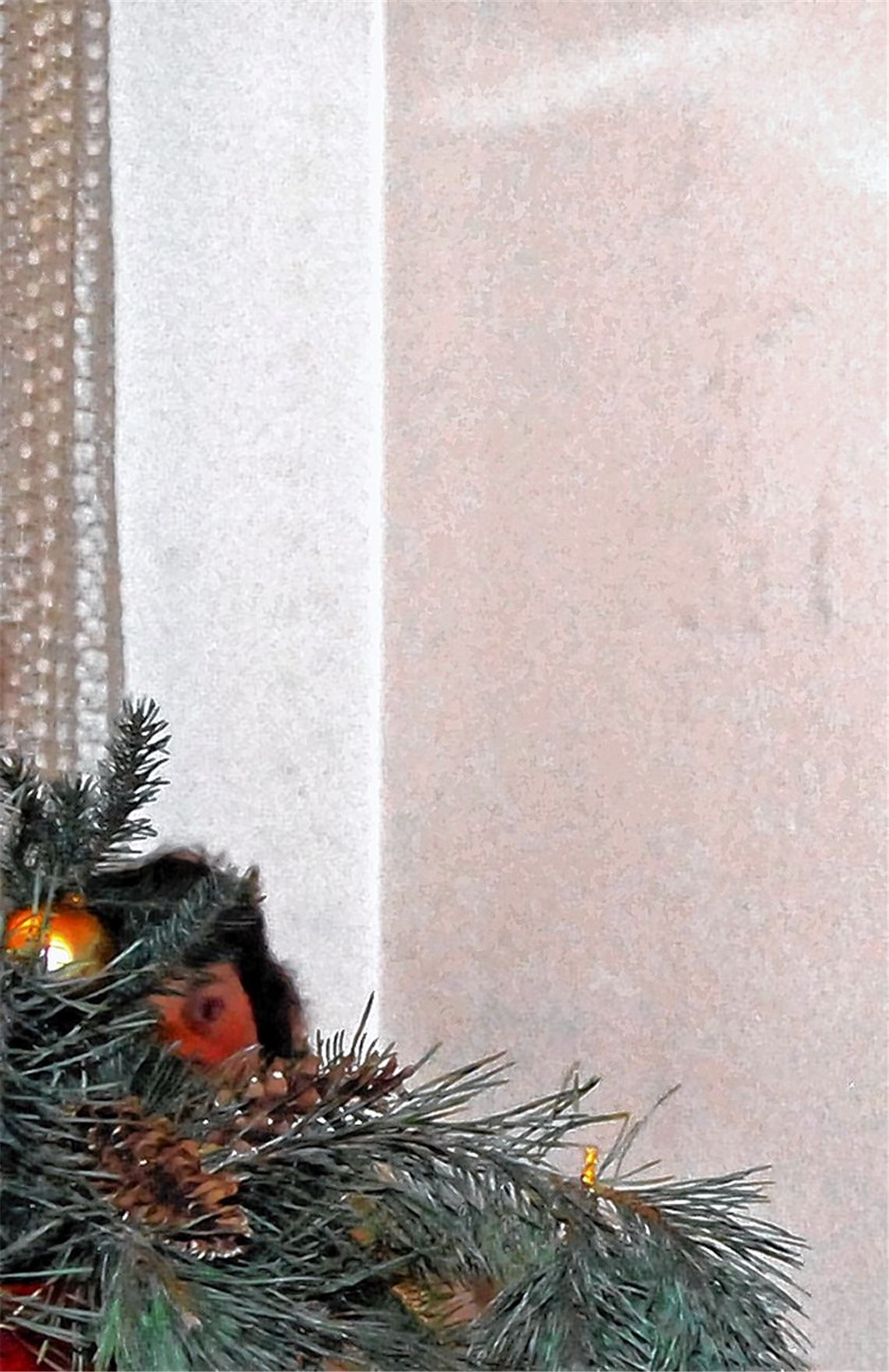 Auf der Suche nach Heimat