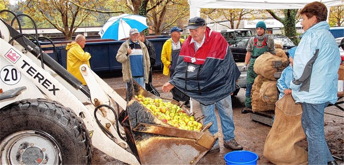 BUND-Ortsgruppenvorsitzender Eberhard Bäuerle begutachtet die angelieferten Äpfel. Foto: Appich
