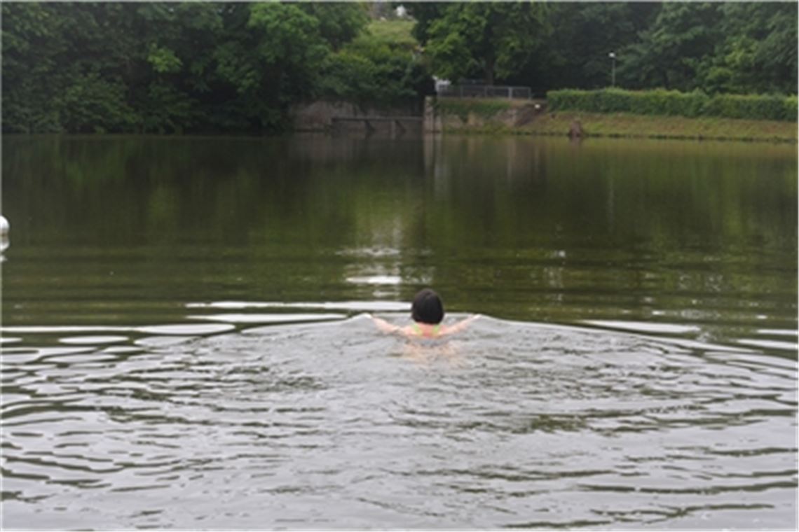 Baden ist am Tiefen See zumindest bis Mittwoch, 4. August, verboten. Schuld daran ist unter anderem eine Nilgans-Familie. Foto: Archiv